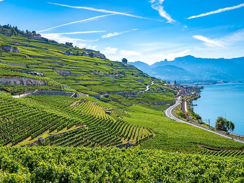 Smartbox  1 nuit dans un domaine viticole avec dégustation en Suisse - Coffret Cadeau 