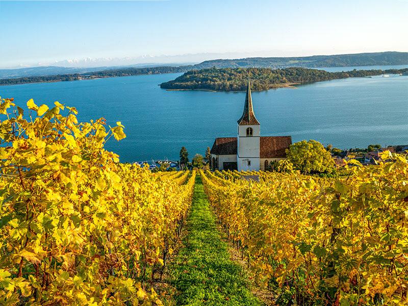 Smartbox  1 nuit dans un domaine viticole avec dégustation en Suisse - Coffret Cadeau 