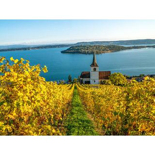 Smartbox  Genussvoller Aufenthalt auf einem Weingut mit Übernachtung und Verkostung in der Schweiz - Geschenkbox 