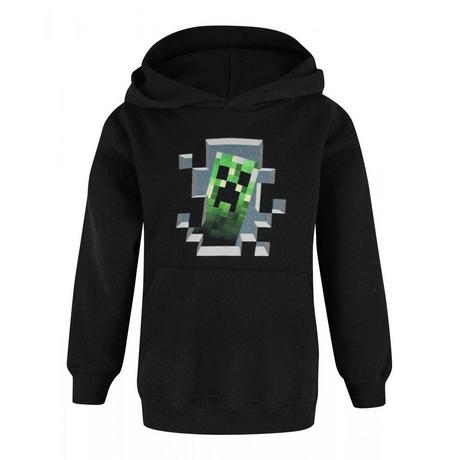 MINECRAFT  Sweat à capuche INSIDE 