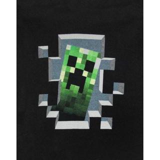 MINECRAFT  Sweat à capuche INSIDE 