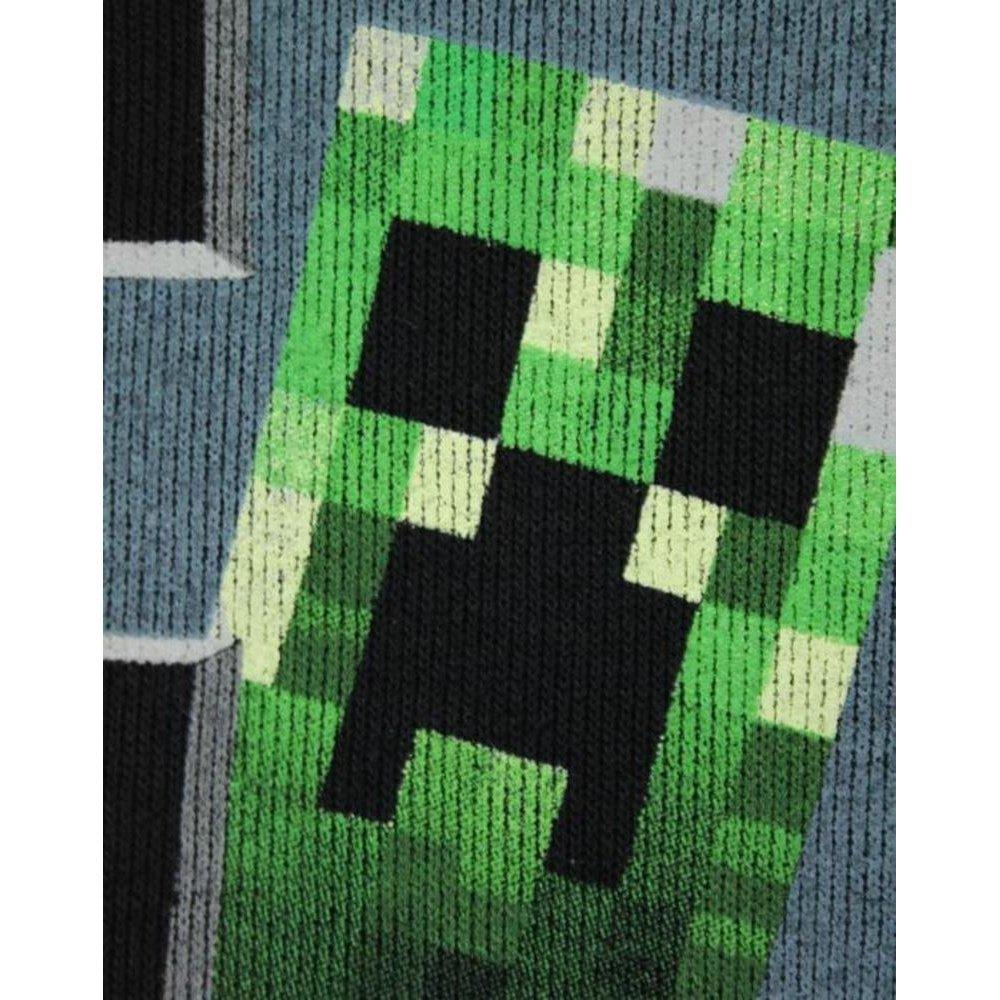 MINECRAFT  Sweat à capuche INSIDE 