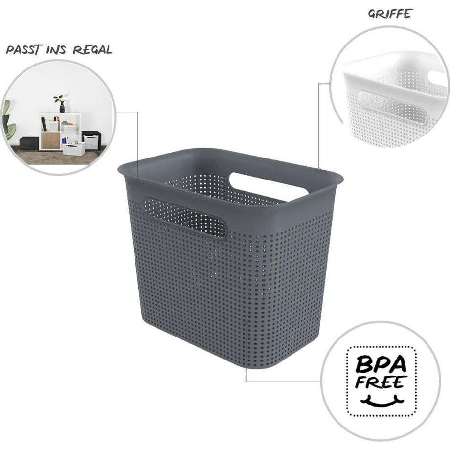 rotho BRISEN Aufbewahrungsbox ANTHRAZIT –  