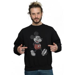 Disney  Walking Sweatshirt 