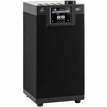 Stereo DAB+/FM Radio DABMAN i610