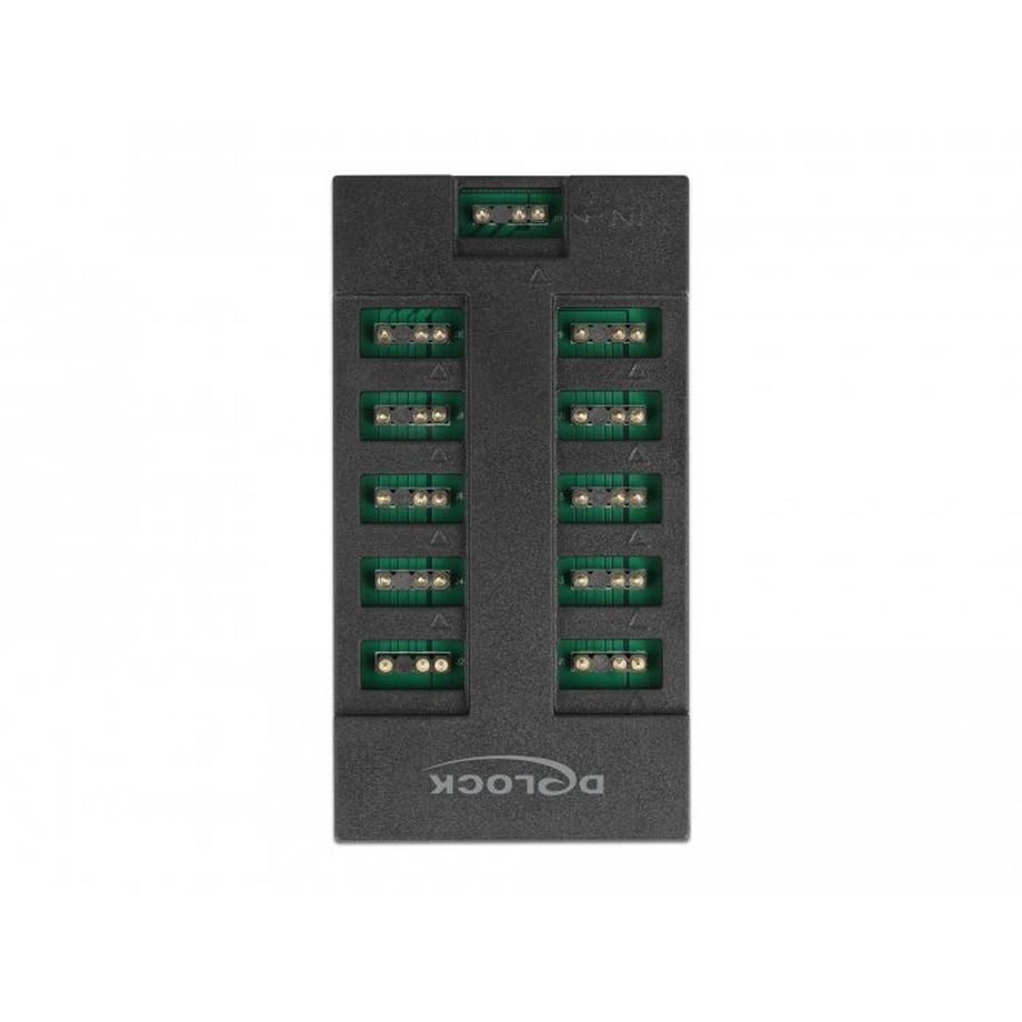 DeLock  Hub RGB per LED ARGB con 10 porte 