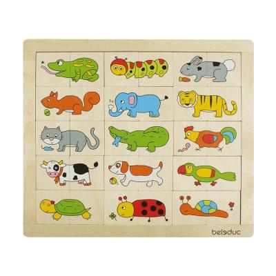 Image of 11006 Multicolor