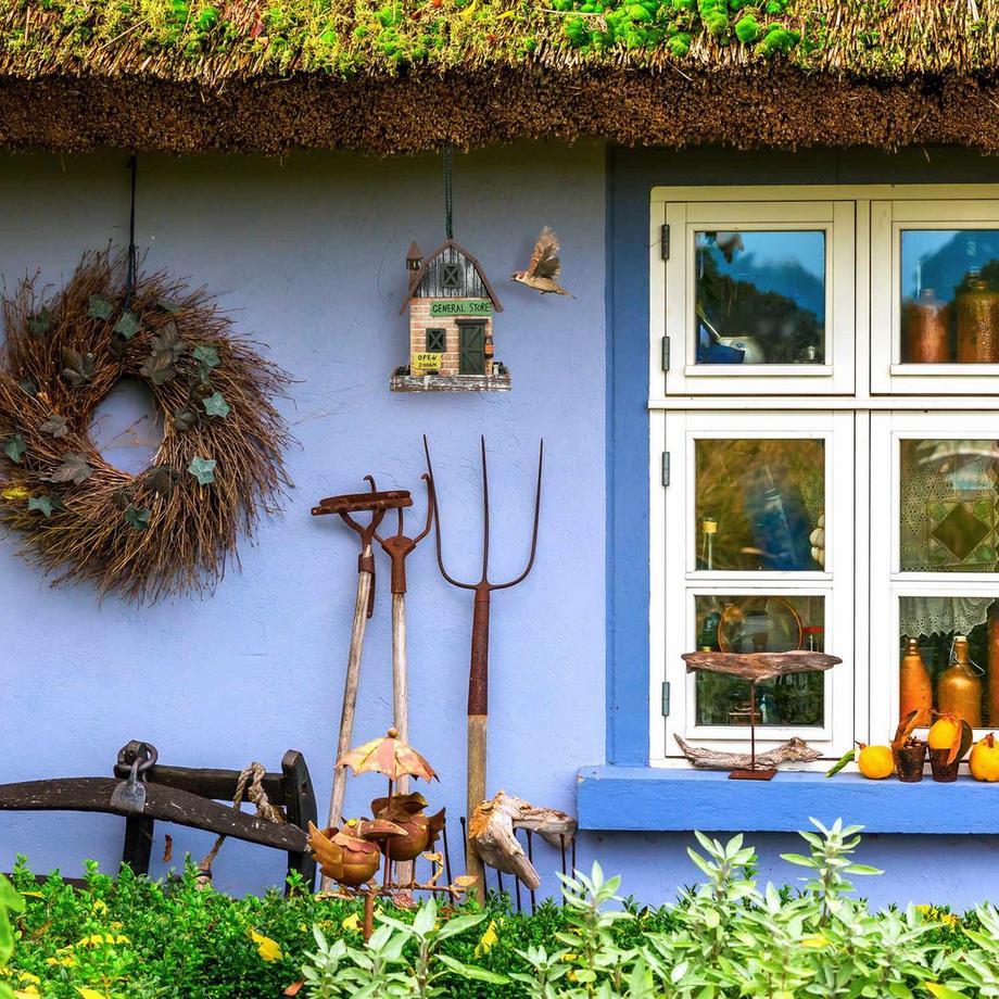 B2X  Dekoratives Vogelhaus-Ladendesign 
