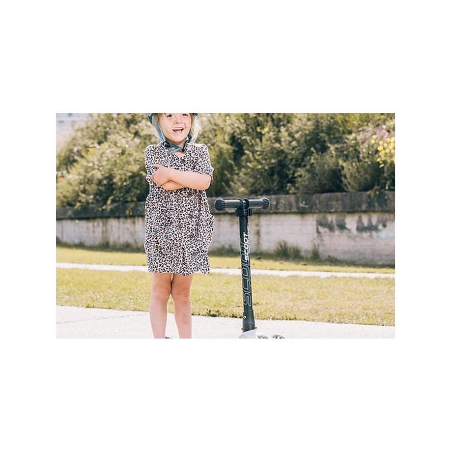 Scoot and Ride  Kinder SM Ash 