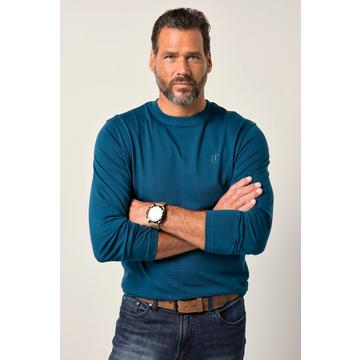 Felpa basic in cotone con vestibilità normale, ricamo del logo, scollo a girocollo e maniche lunghe, fino alla tg. 8XL