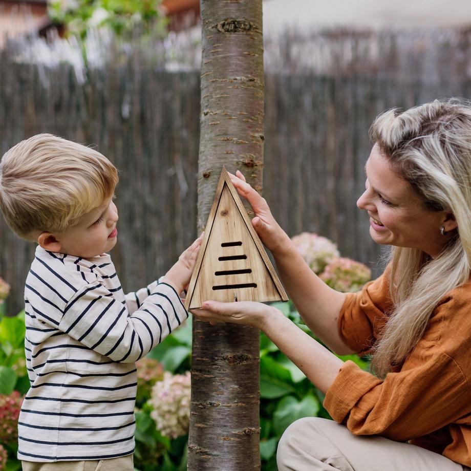 Northio  Maison de coccinelle triangulaire 
