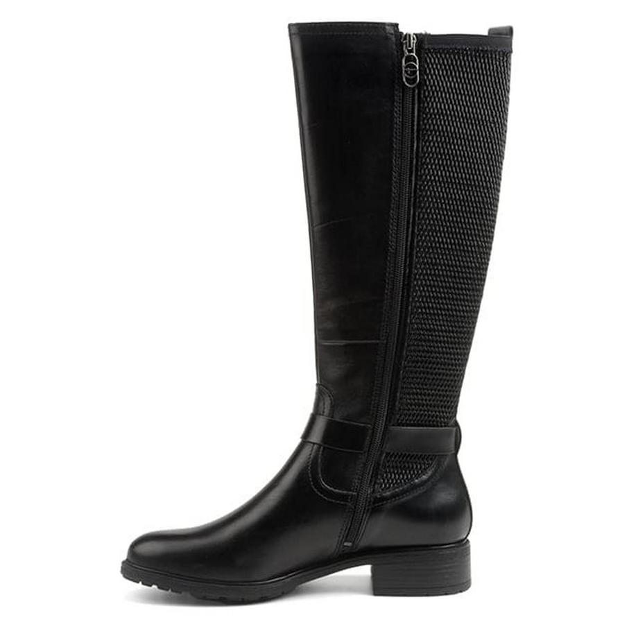 Tamaris  Elpida-36 