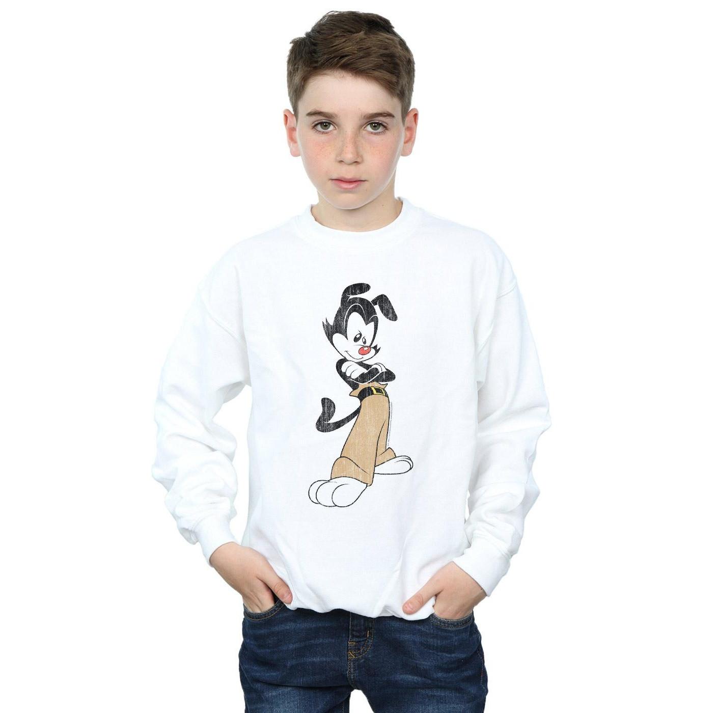 Animaniacs  Sweatshirt 