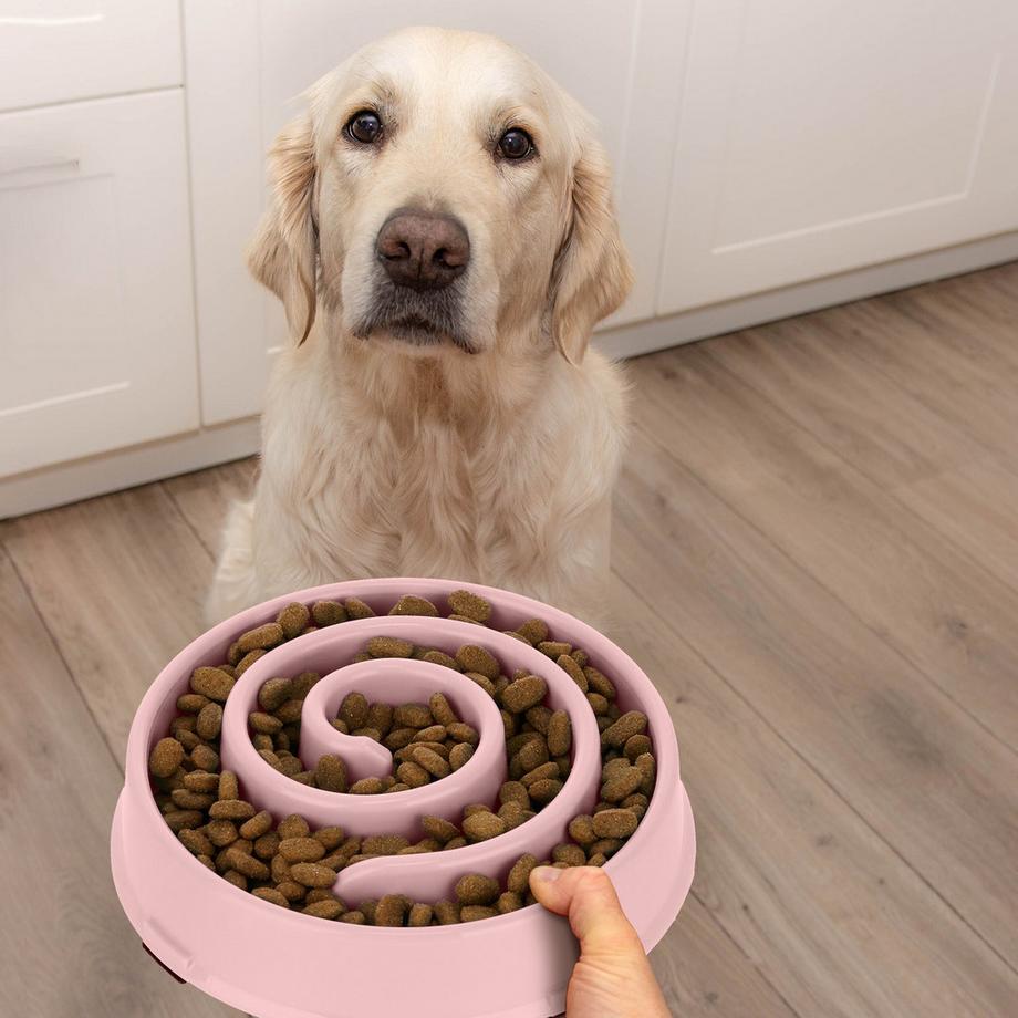 Northix  Anti-Schleuder-Schüssel 600 ml 