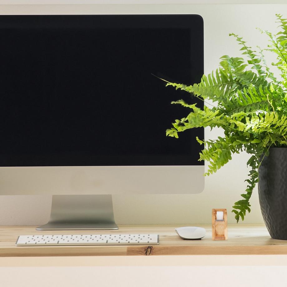 B2X Distributeur de table en bambou  