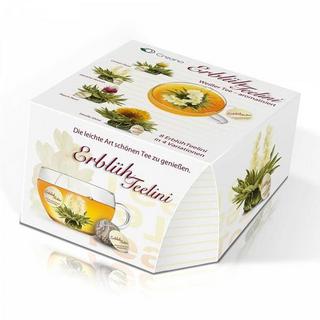 Creano Geschenkset ErblühTeelini von Creano 8er Box  
