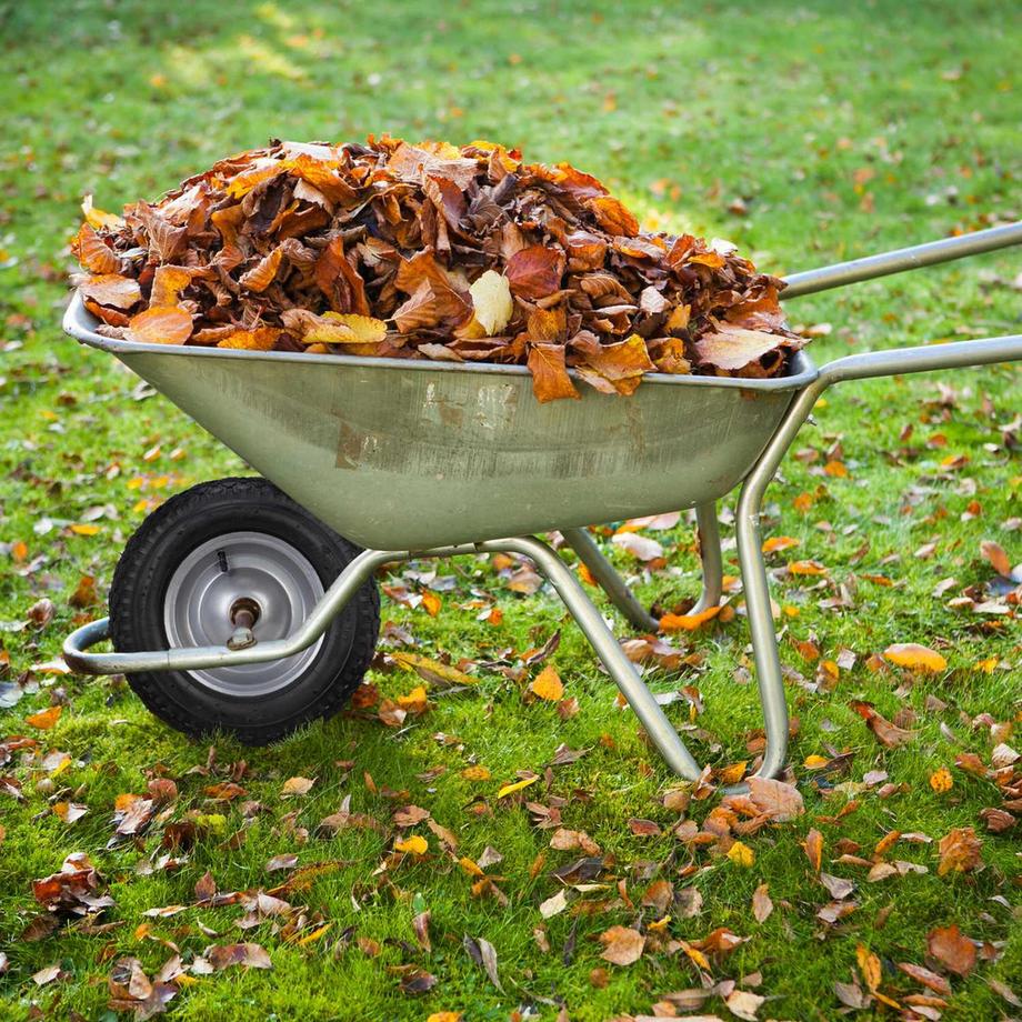 Northio  Pick-up-Truck-Reifen 3.50-8 mit Schlauch 