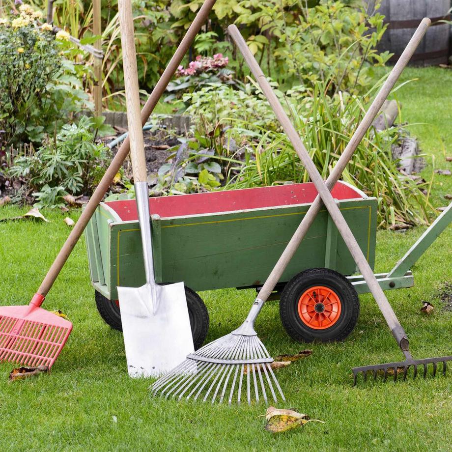 Northio  Pick-up-Truck-Reifen 3.50-8 mit Schlauch 