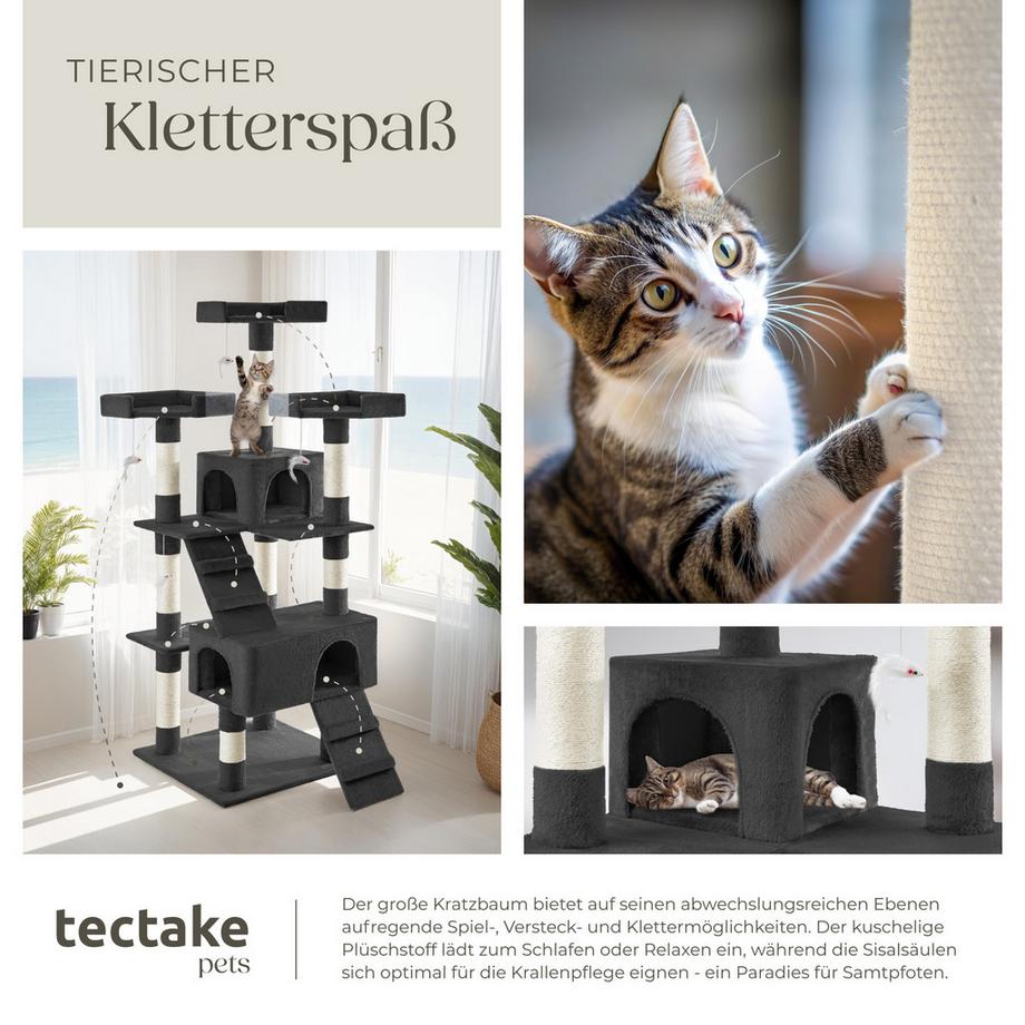 Tectake  Albero tiragraffi  Barney 170 cm 