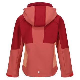 Regatta  Haydenbury Softshelljacke 