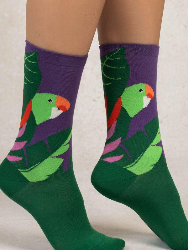 BLEU FORET  Chaussettes perruche oiseau 