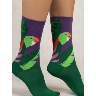 BLEU FORET  Chaussettes perruche oiseau 