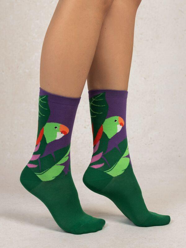 BLEU FORET  Chaussettes perruche oiseau 