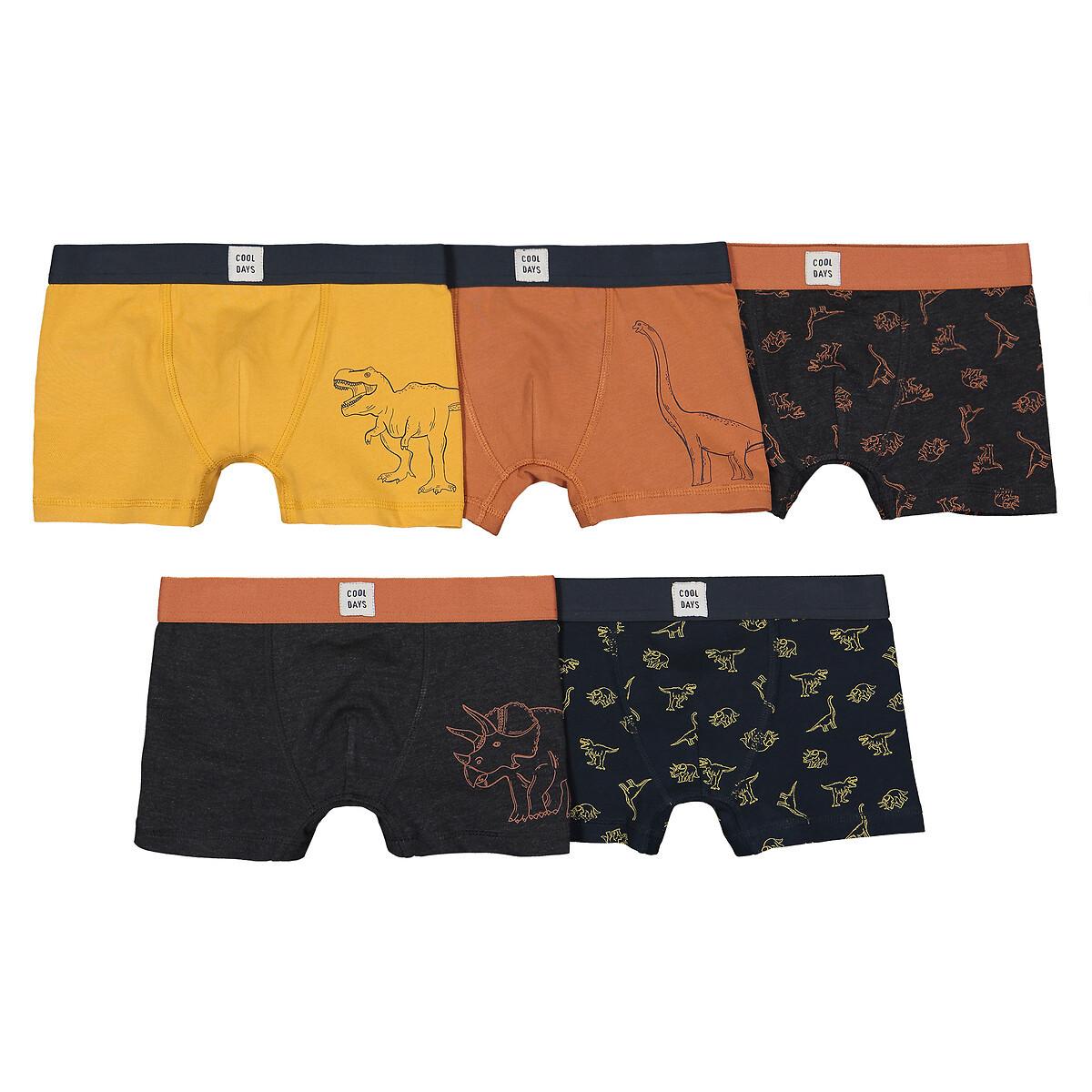 Image of 5er-pack Boxerpants Dinosaurier Jungen Multicolor 86-94