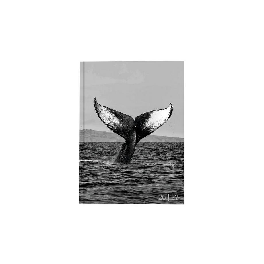 Biella Agenda scolaire mydiary 1 jour par page, ouatiné, Whale  