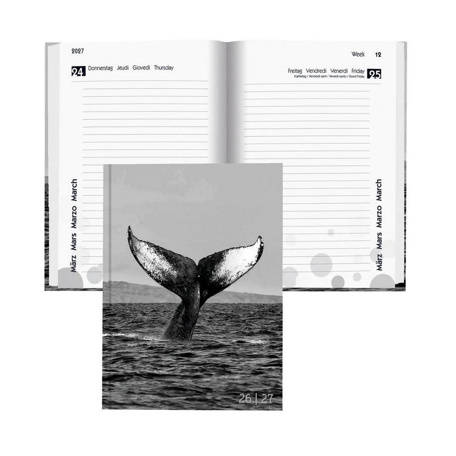 Agenda scolaire mydiary 1 jour par page, ouatiné, Whale