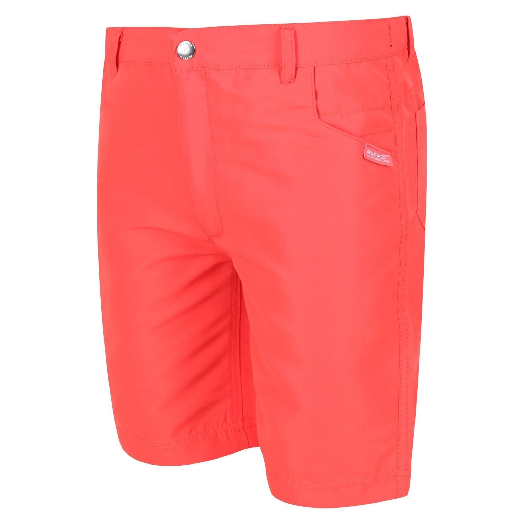 Regatta  Short SORCER 