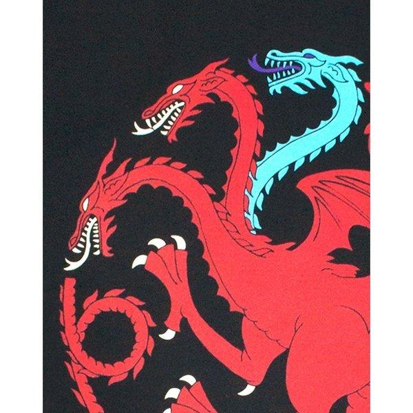 Game of Thrones  Ice And Fire Dragons TShirt 