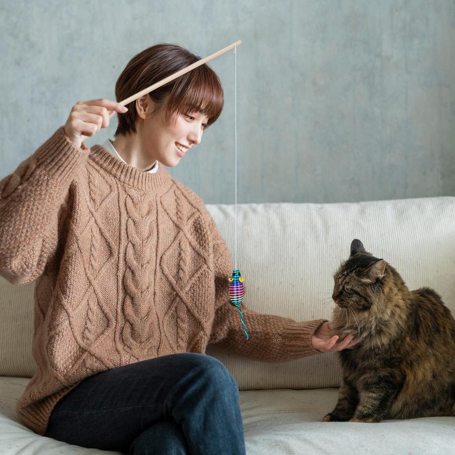 B2X  Angelrute für Katze, 5er Set 