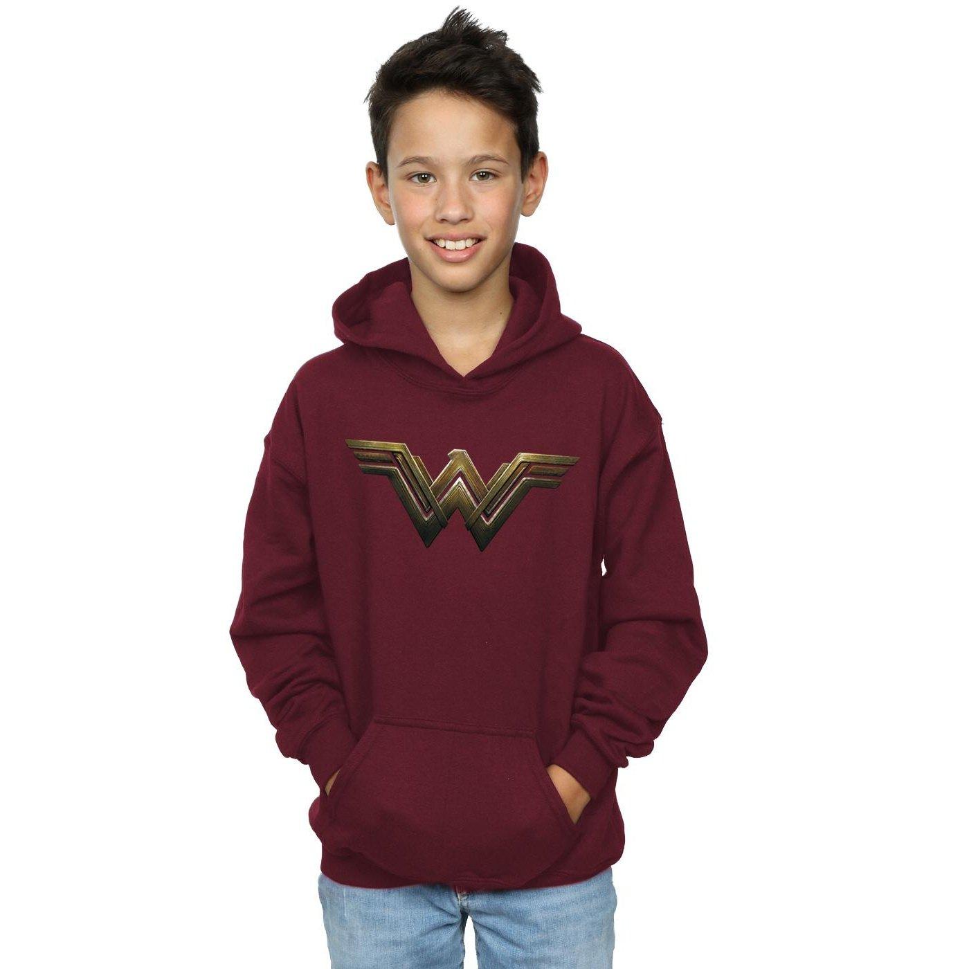 DC COMICS  Sweat à capuche 