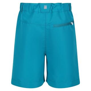 Regatta  Sorcer II Shorts 