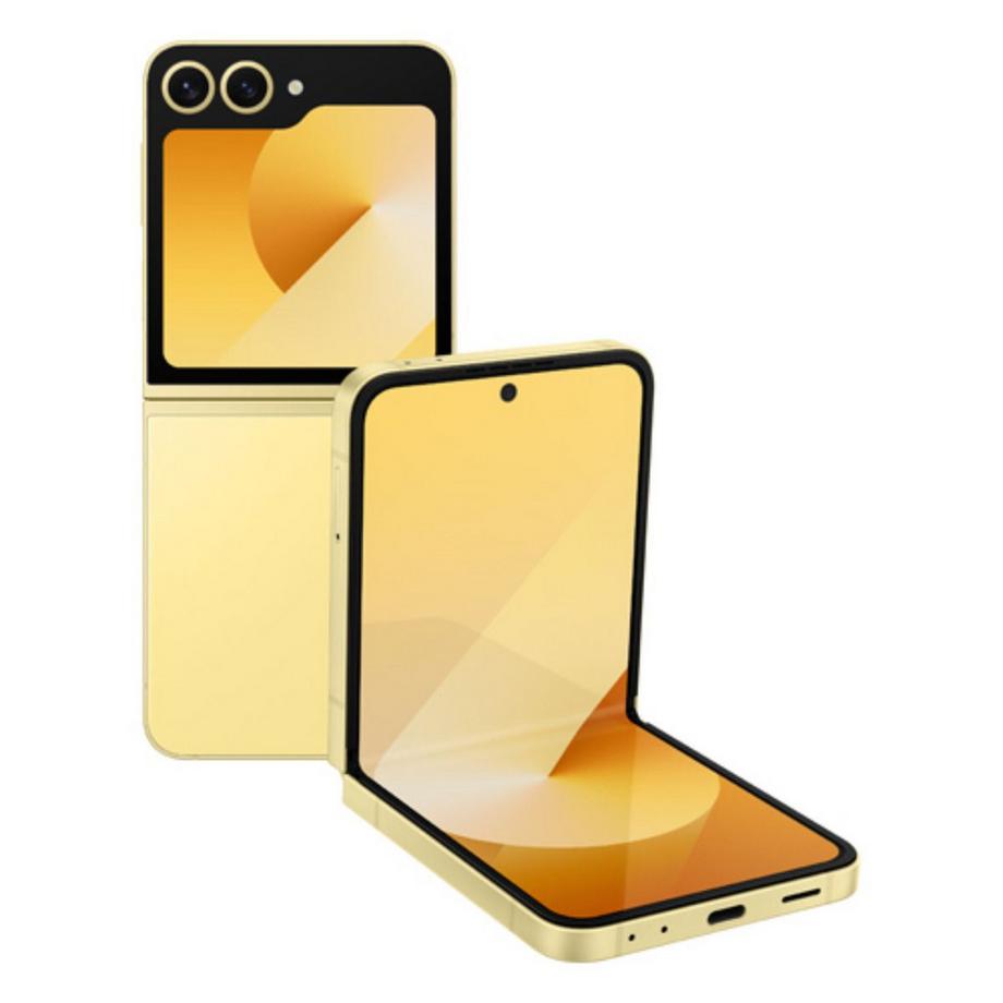 Ricondizionato Galaxy Z Flip6 5G (dual sim) 256GB - Come nuovo