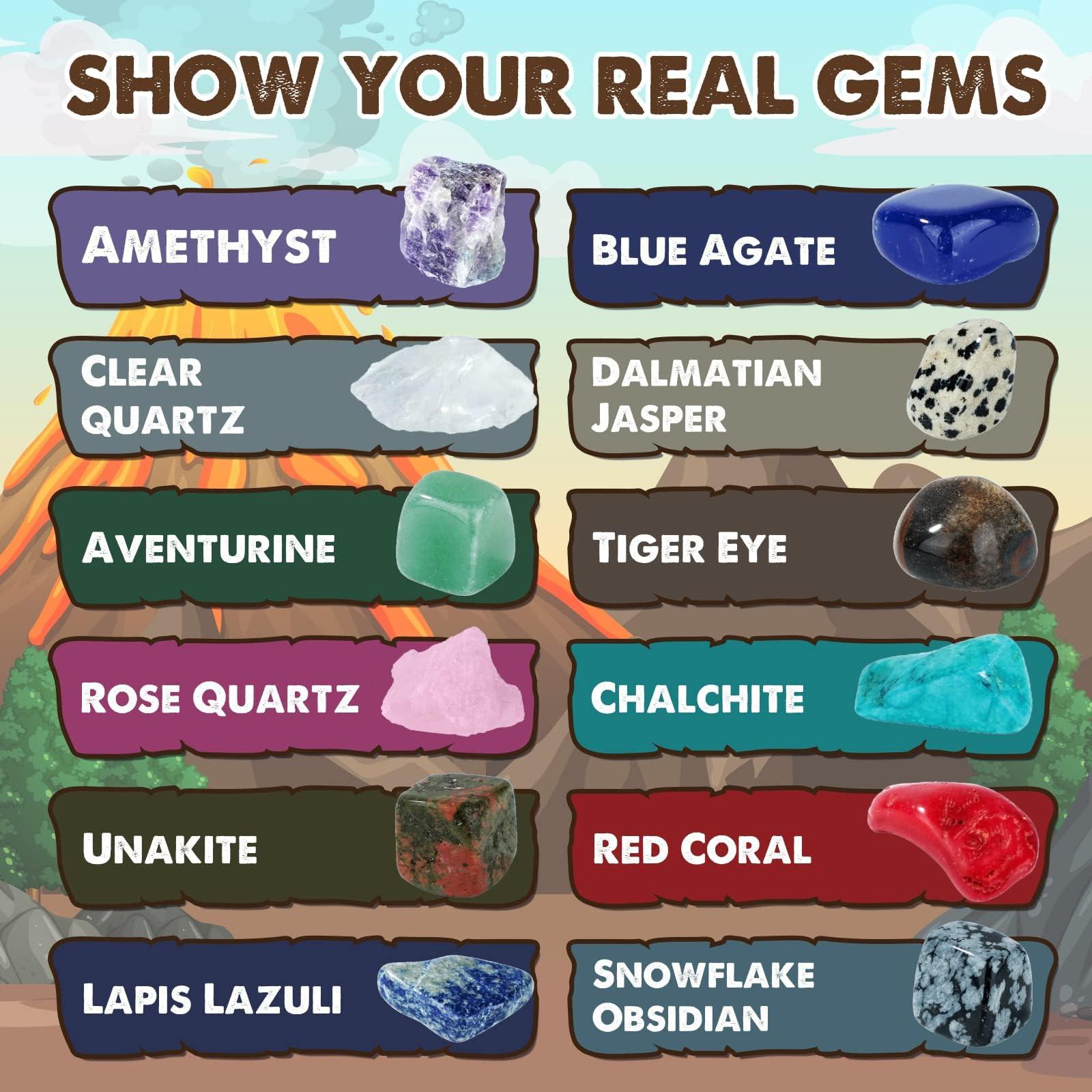 Activity-board  Set d'excavation de pierres précieuses avec 12 pierres géologiques, set d'excavation de minéraux 