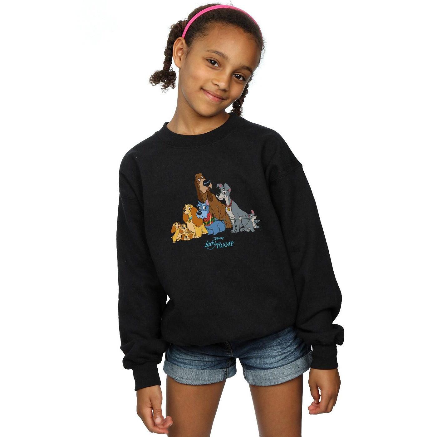 Disney  Lady And The Tramp Sweatshirt 