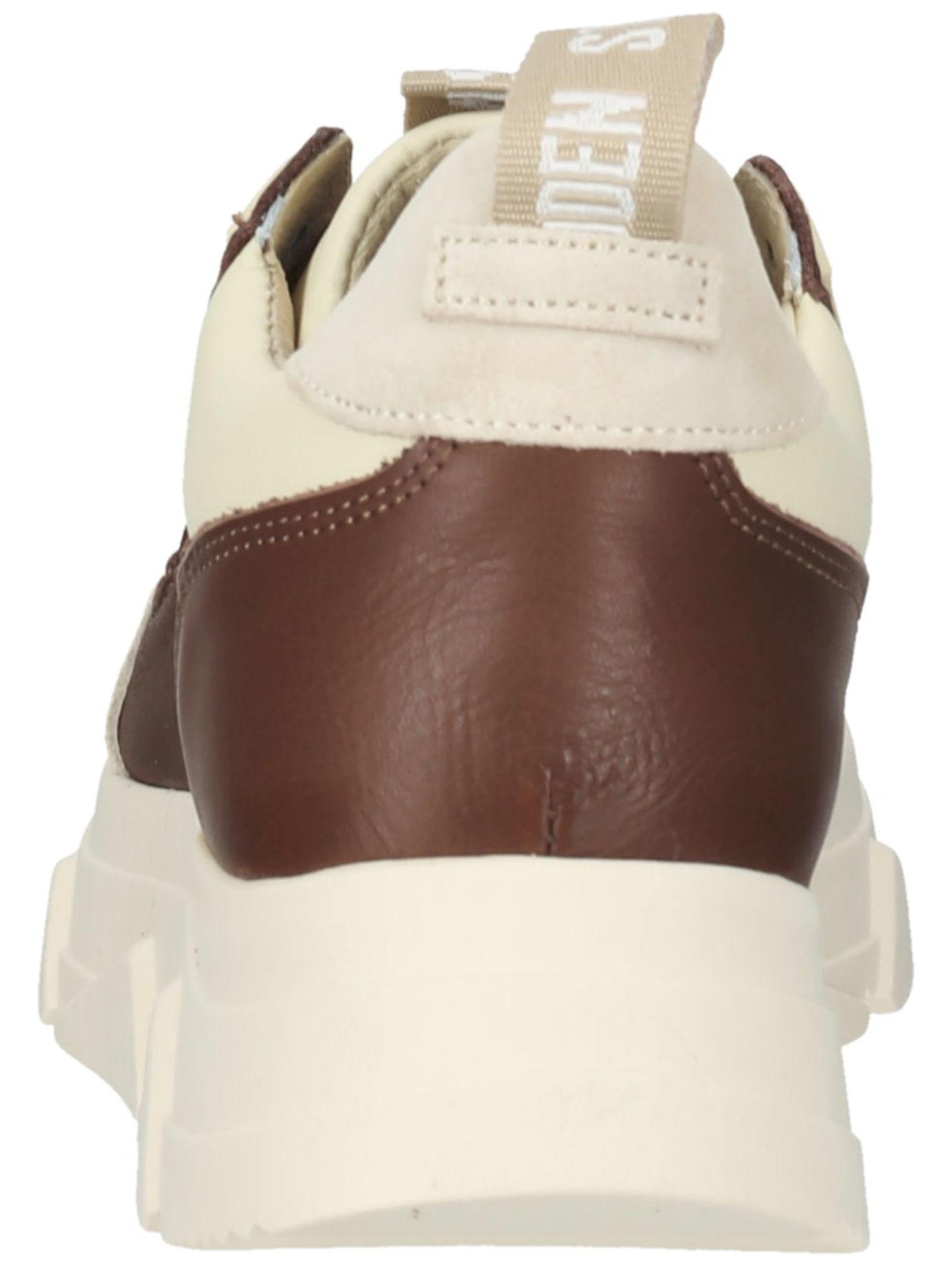 STEVE MADDEN  Sneaker 