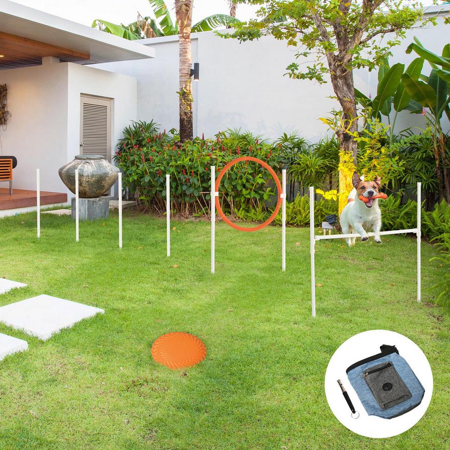 PawHut Pet Agility Set  