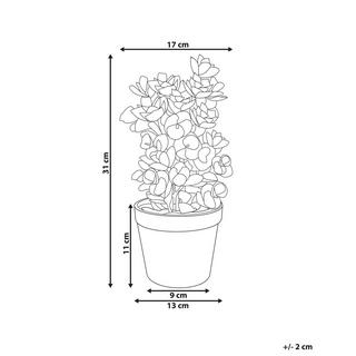 Beliani Pianta artificiale en Materiale sintetico HOUSELEEK  