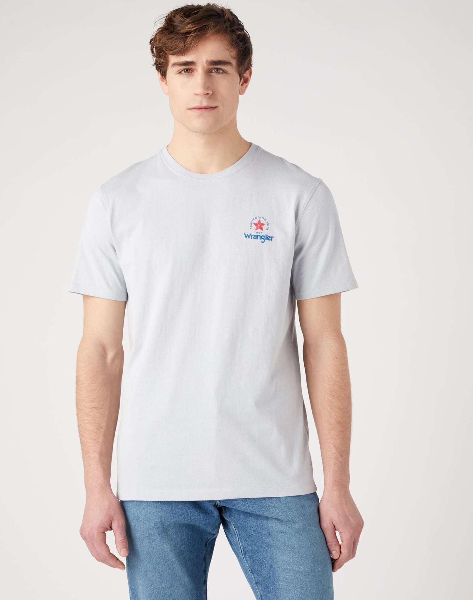 Image of T-shirts Tee Herren Taubengrau S