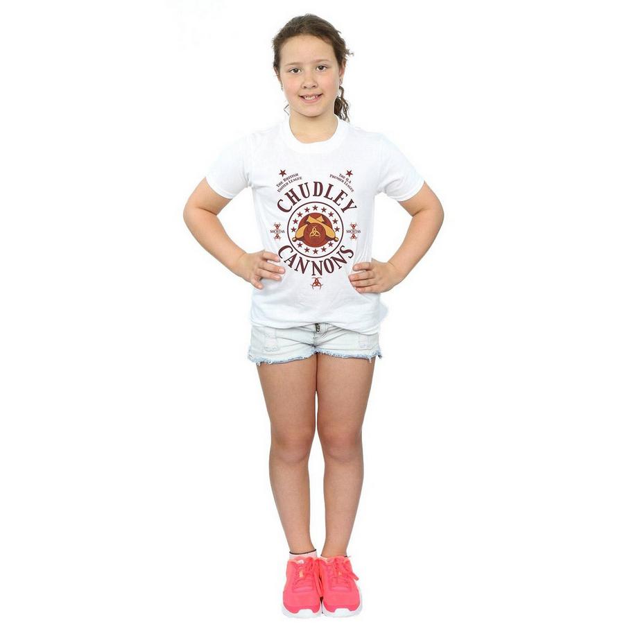 Harry Potter  Chudley Cannons TShirt 
