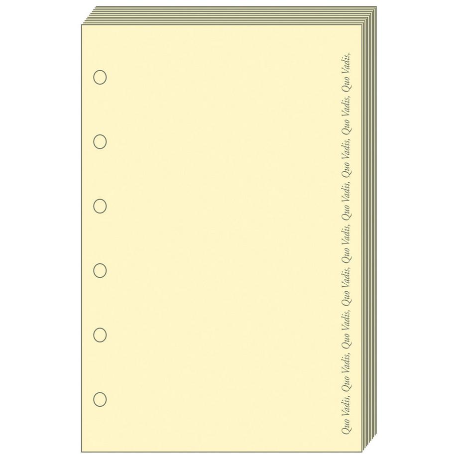 Quo Vadis Ricariche organizer - A righe - Taglio dorato - 9x15 cm - Ricambio  