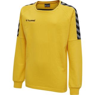 Hummel  felpa per bambini hmlauthentic training 