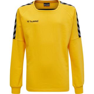 Hummel  sweatshirt enfant hmlauthentic training 