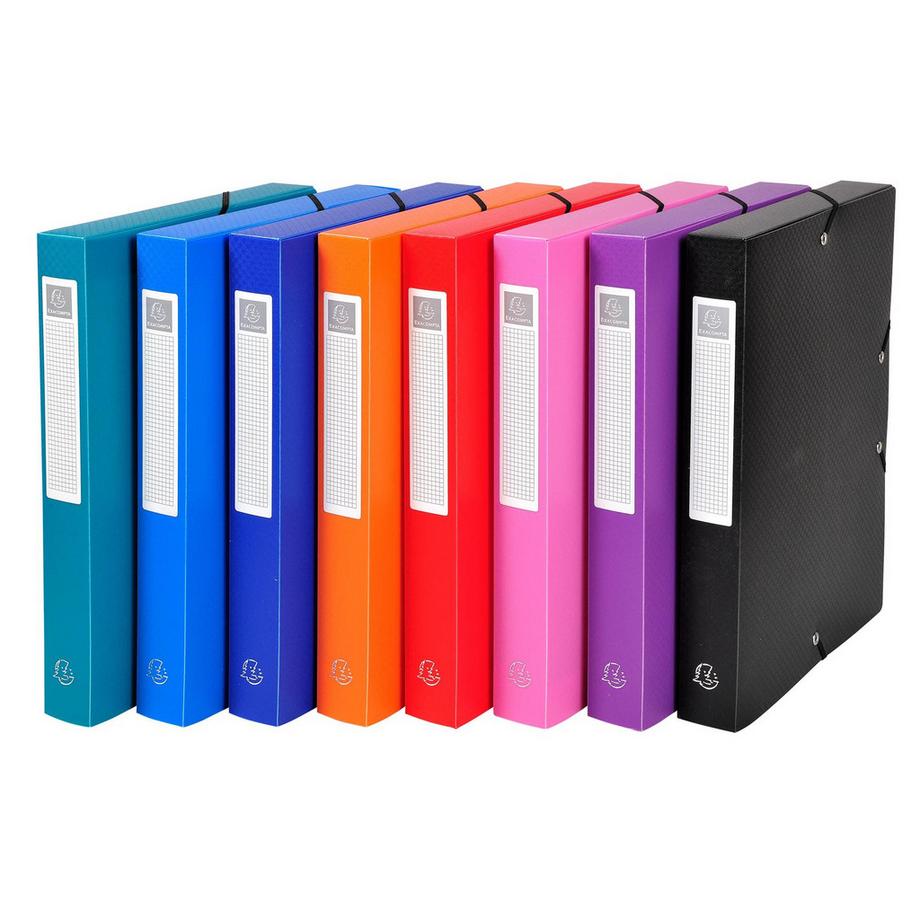 Archivbox aus PP 700µ blickdicht, Rücken 40mm, 25x33cm für DIN A4 - x 8