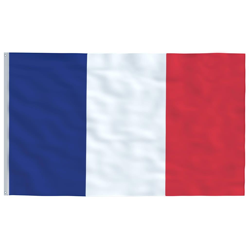 VidaXL  Drapeau français 