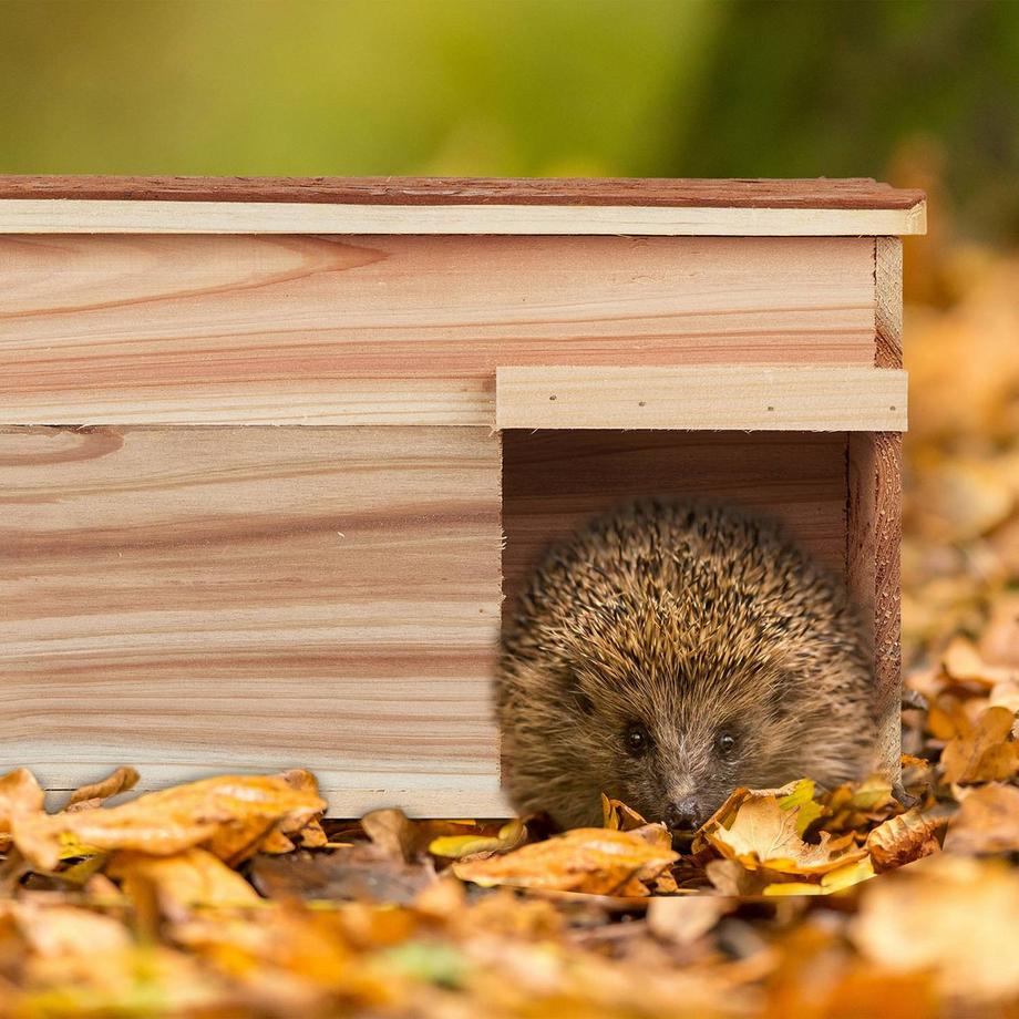 B2X  Igelhaus mit Boden 