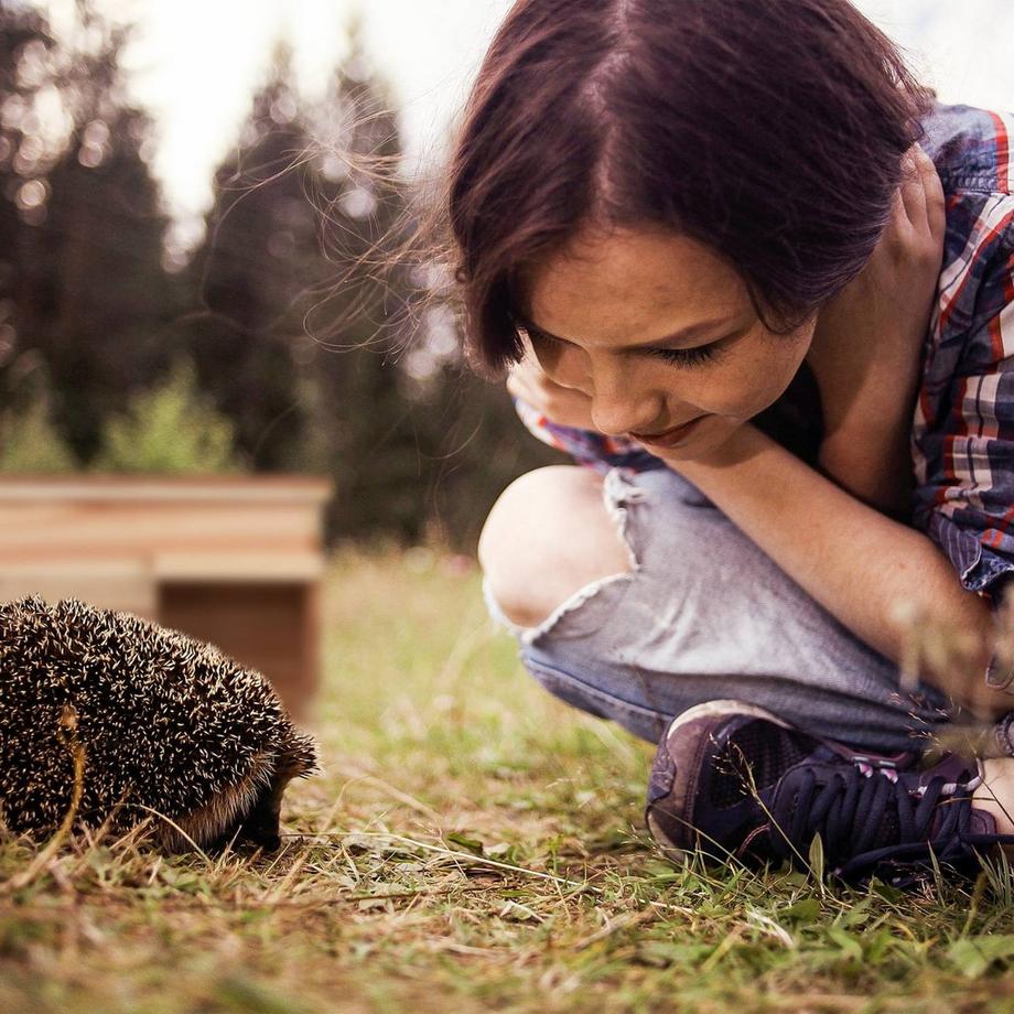 B2X  Igelhaus mit Boden 